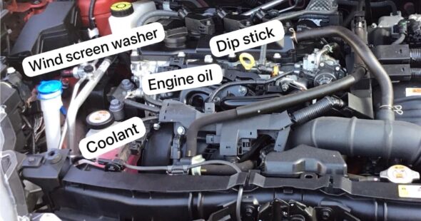 Automatic driving safe -with labels